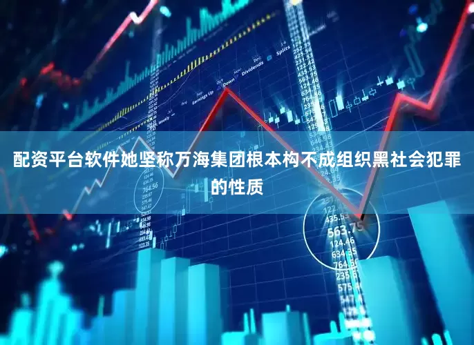 配资平台软件她坚称万海集团根本构不成组织黑社会犯罪的性质
