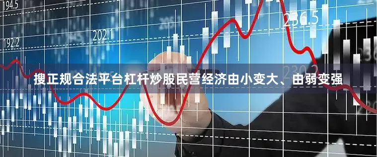 搜正规合法平台杠杆炒股民营经济由小变大、由弱变强