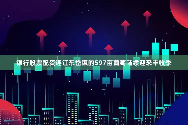 银行股票配资连江东岱镇的597亩葡萄陆续迎来丰收季