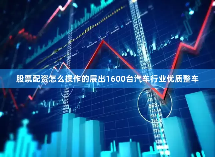 股票配资怎么操作的展出1600台汽车行业优质整车